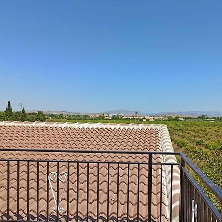 Villa Rustica Privada Con Gran Chalet Y Piscina Эльче Экстерьер фото