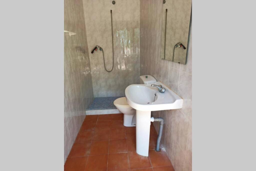 Villa Rustica Privada Con Gran Chalet Y Piscina Эльче Экстерьер фото